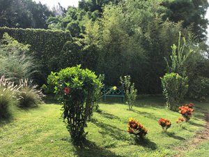 Áreas familiares y de juego