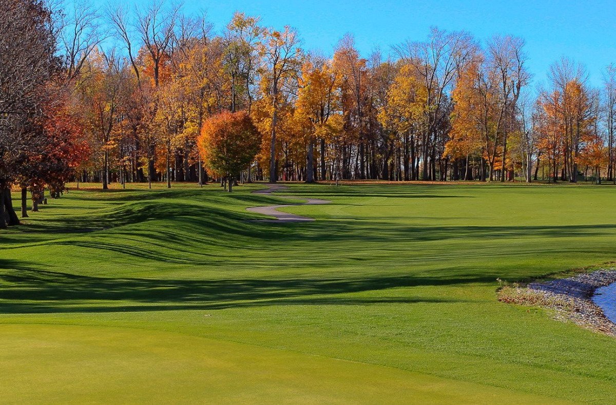 SYCAMORE SPRINGS GOLF COURSE (Arlington) What to Know BEFORE You Go