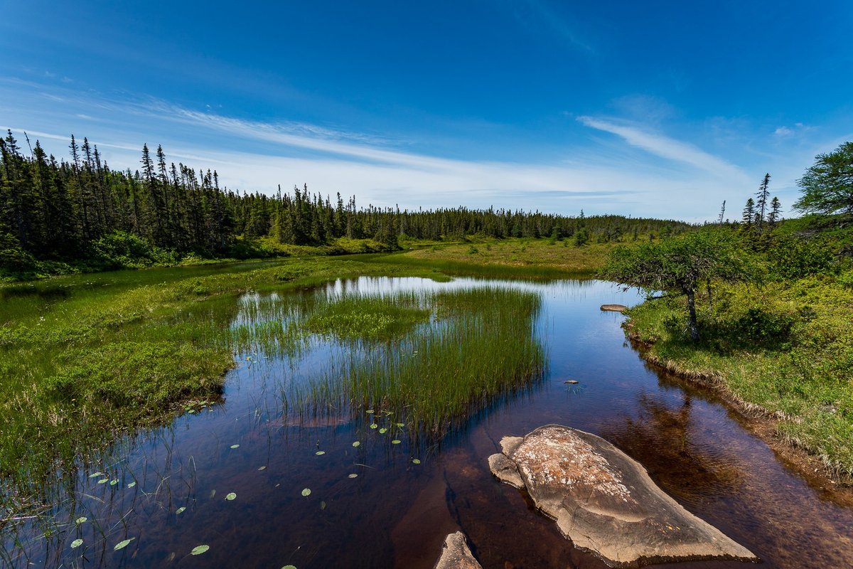 PLUMAS NATIONAL PARK TERRANOVA Y LABRADOR CANADÁ