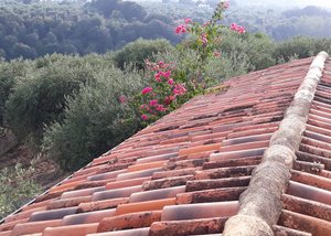 Camera e suite