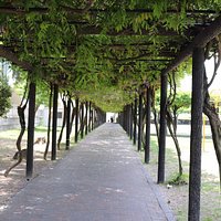 藤の花の季節に訪れてみたいですね