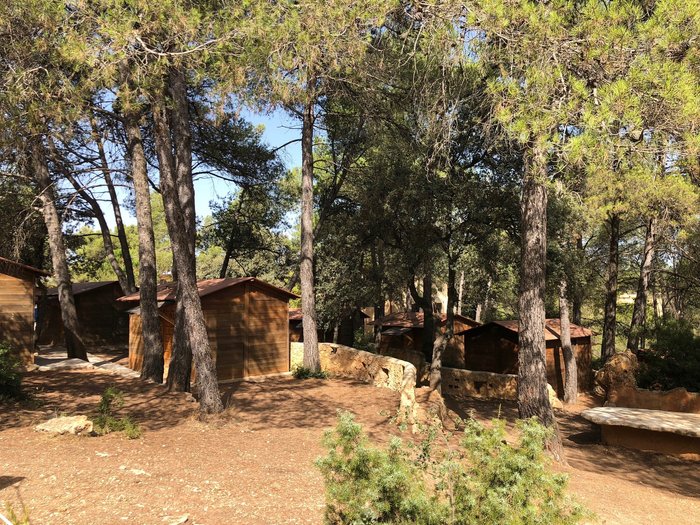 Imagen 13 de Camping El Teularet