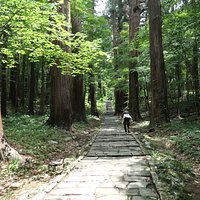 この先からしばし平地が続き、やがて最後の難関の「三の坂」へと向かいます。