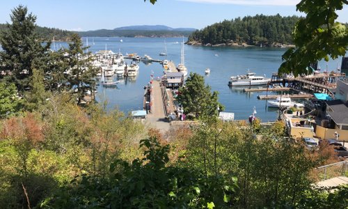 San Juan Island 2023: Best Places to Visit - Tripadvisor