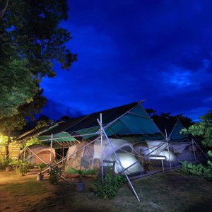 Glamping at Walai Penyu Conservation Park
