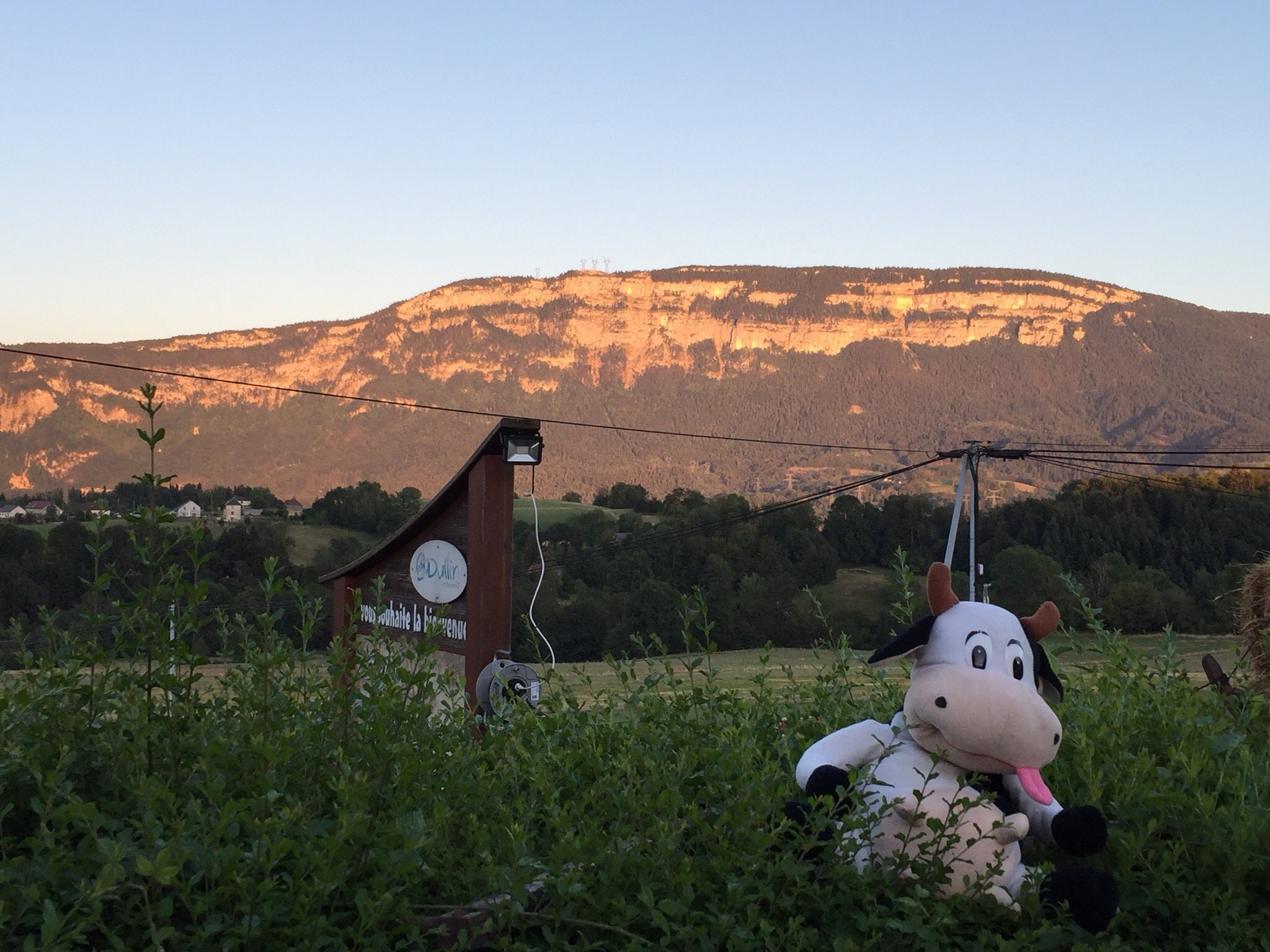 AUBERGE DE MANDRIN - Prices & Hotel Reviews (Dullin, France)