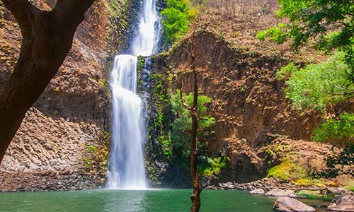 Caminata con guía a salto del Nogal. Super oferta 2x1!!! Salidas todos los días. Sin transporte $799.00 Con transporte $1,749.00 Llama al 3318130050 y 3336298598