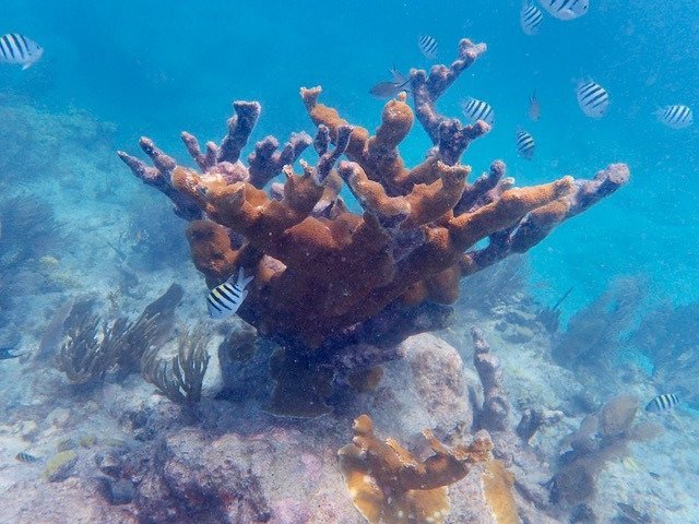 Keys Boat Tours - Big Pine Key - Keys Boat Tours의 리뷰 - 트립어드바이저