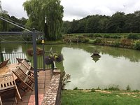 Junior Lakes - Hawkhurst Fish Farm