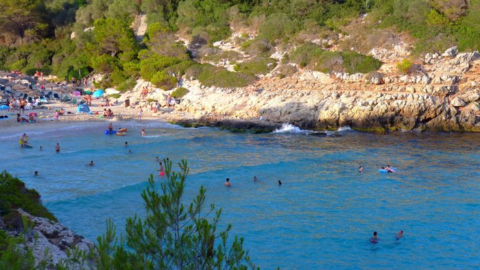 Imagen 10 de Cala Anguila