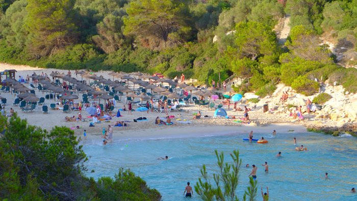 Imagen 9 de Cala Anguila