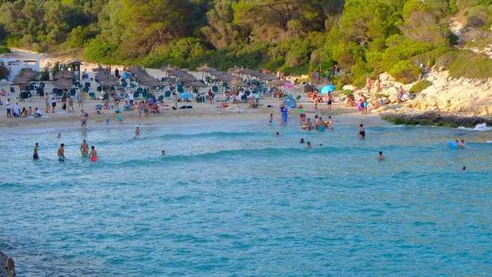 Imagen 8 de Cala Anguila