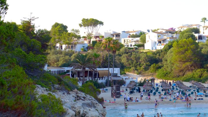 Imagen 7 de Cala Anguila
