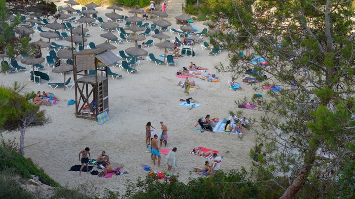 Imagen 6 de Cala Anguila