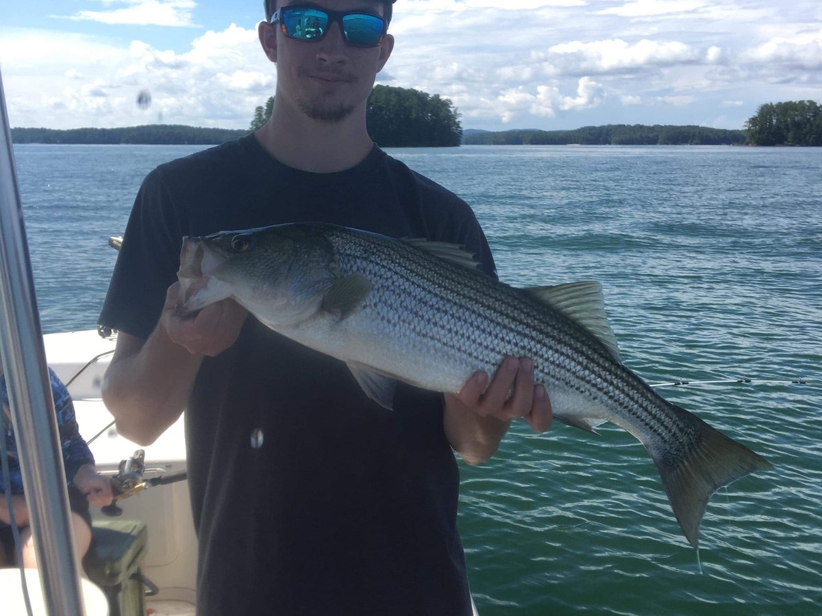 Striper Fishing Guide on Lanier - Qué SABER antes de ir (ACTUALIZADO 2024)  - Tripadvisor