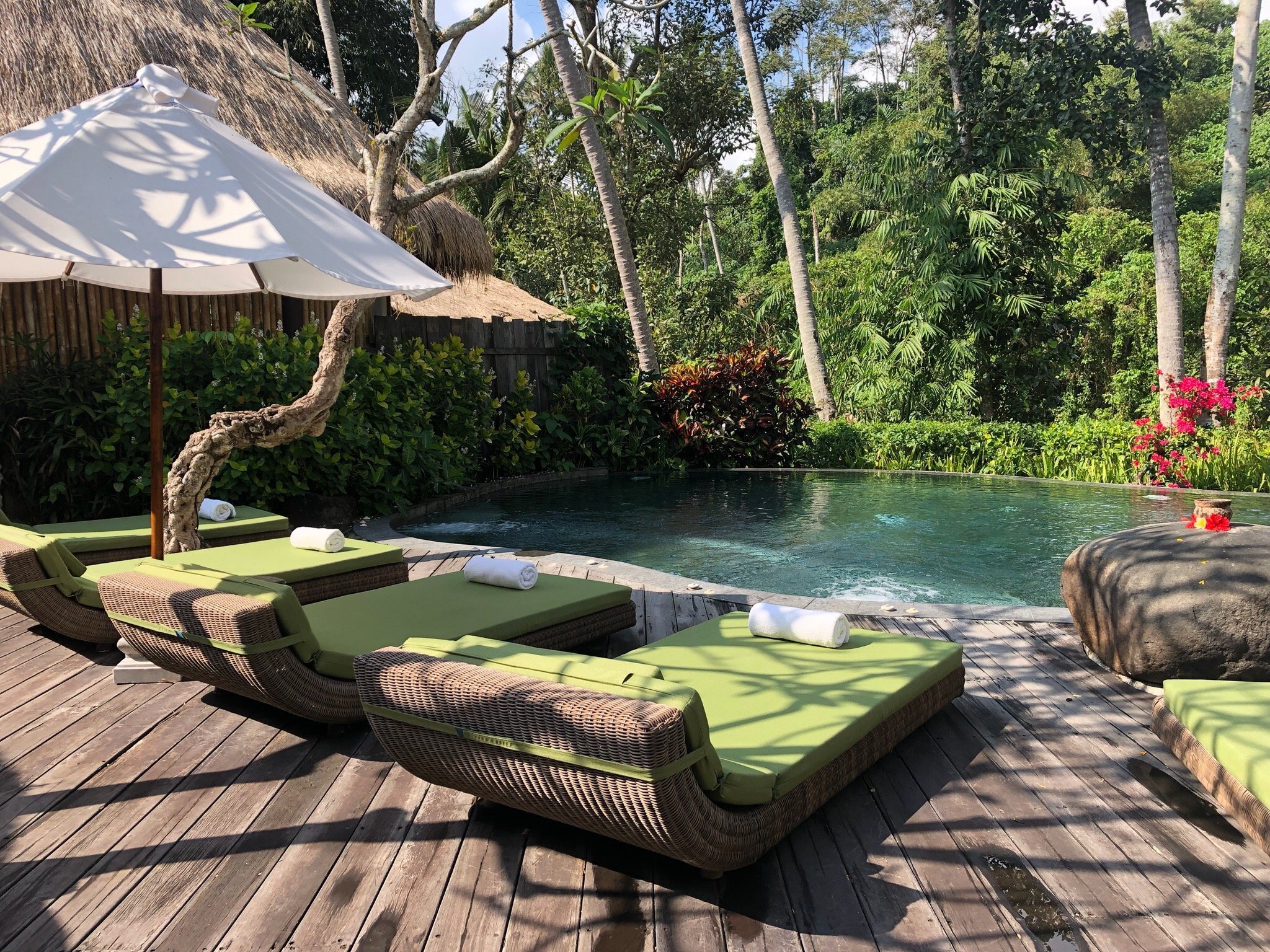 FIVELEMENTS RETREAT BALI Desde $4,990 (Mambal, Indonesia) - Opiniones Y ...