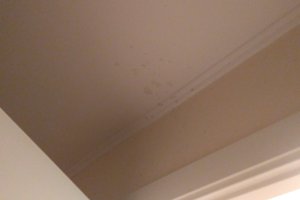 Rom og suite