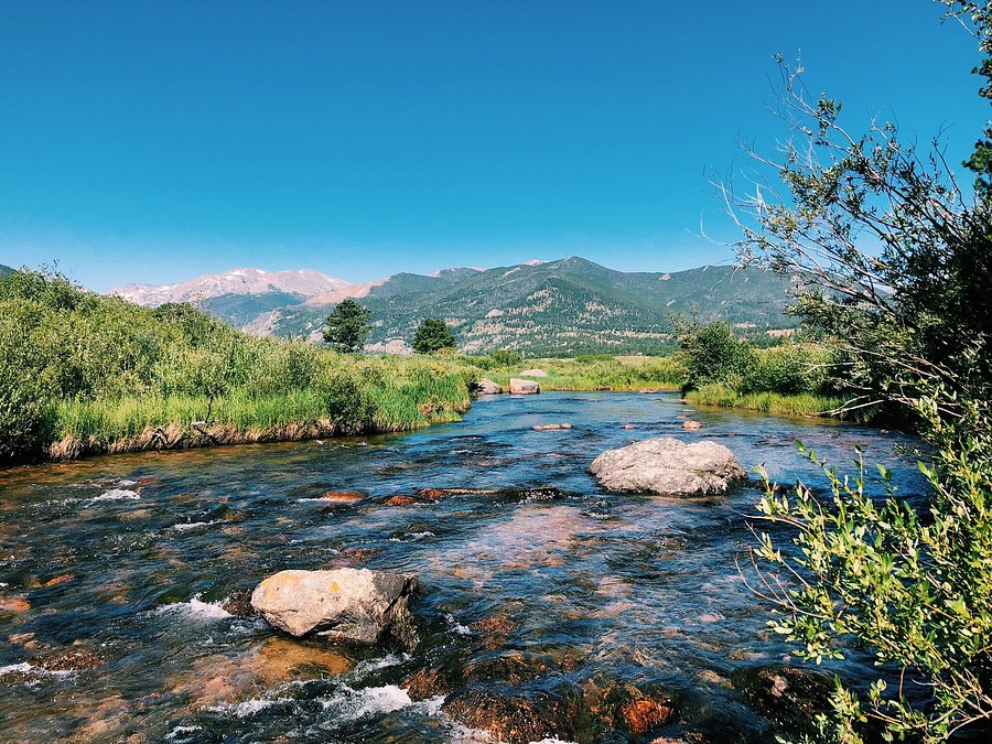 MORAINE PARK CAMPGROUND - Reviews (Rocky Mountain National Park