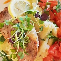 Zeebaars op een bedje van rucola puree met een tomatensalsa | Brasserie VERS 010