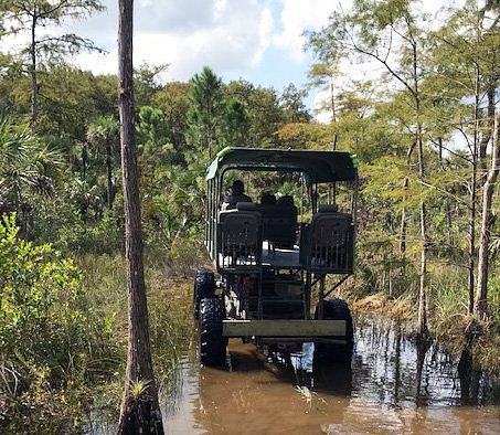 c&g swamp buggy tours