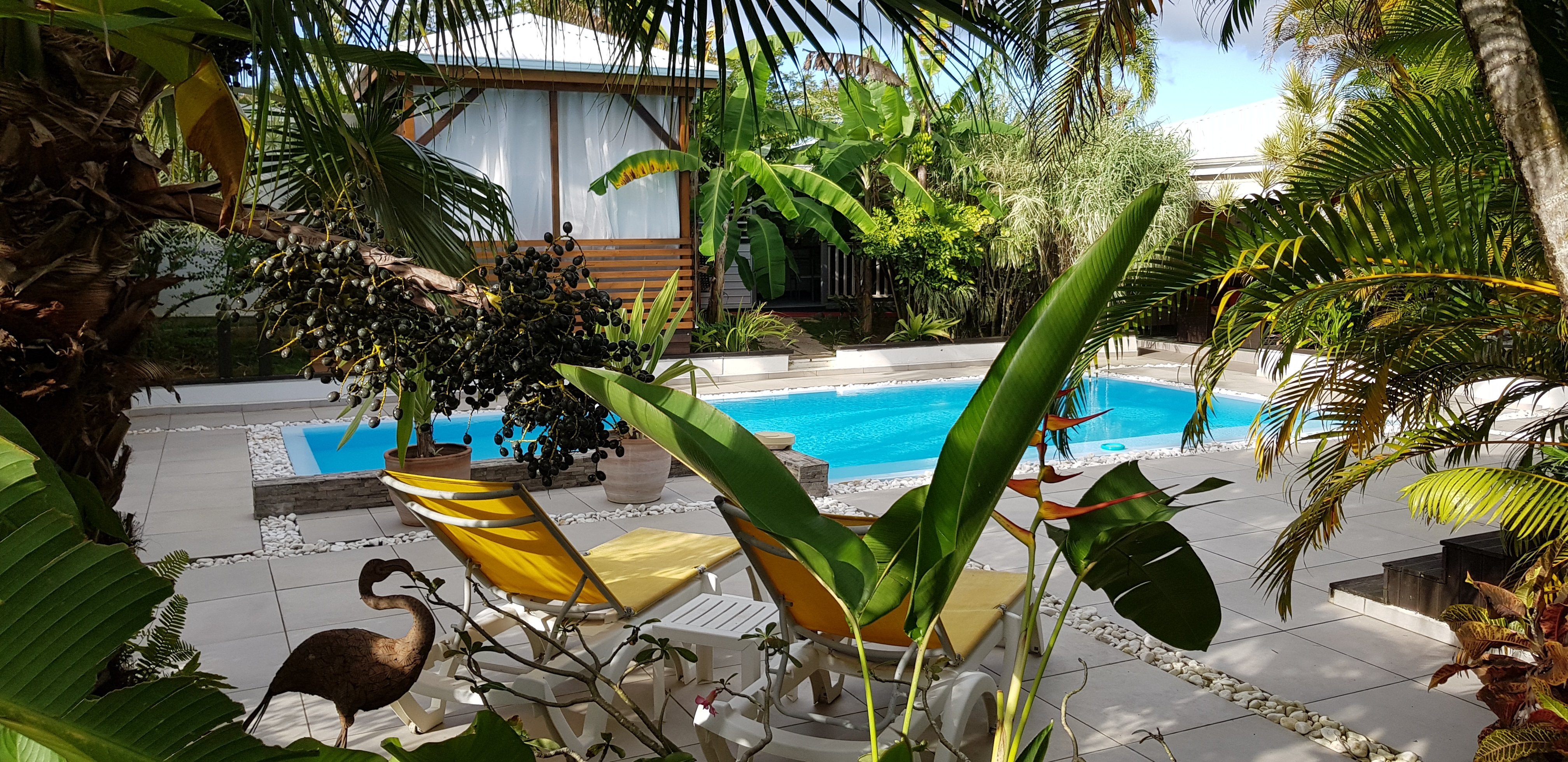 VILLA ZANDOLI - Prices & B&B Reviews (Baie-Mahault, Guadeloupe)