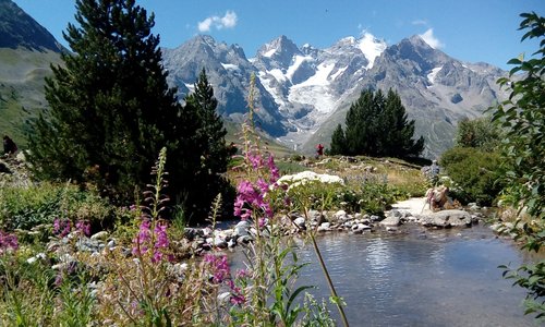 Jardin botanique col du lautaret