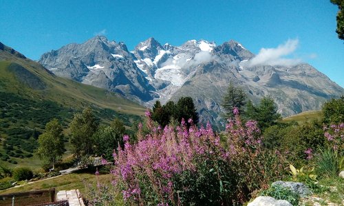 Jardin du lautaret