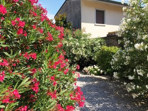 Viaggiatori