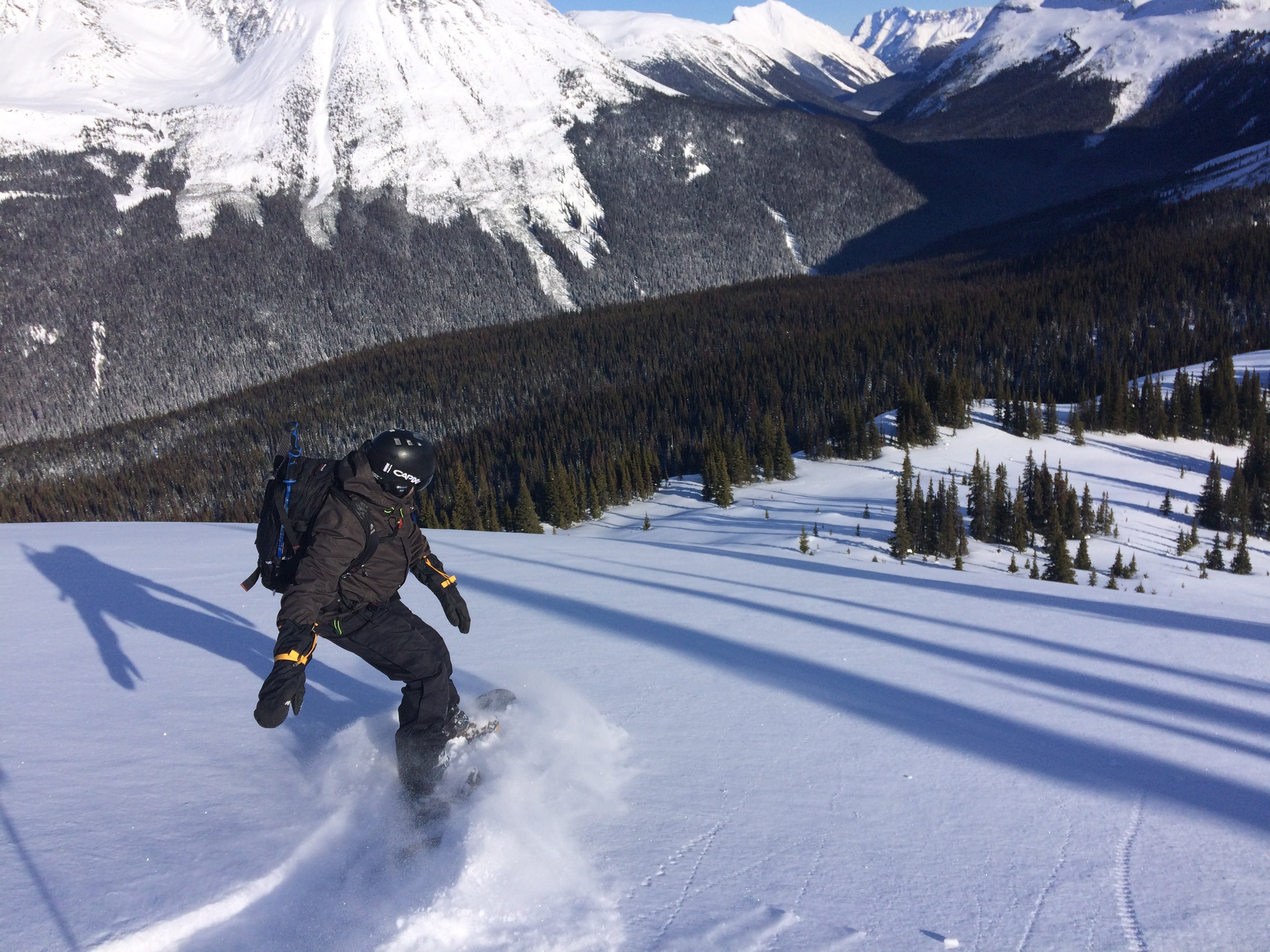 Canadian Adventure Company's Mallard Mountain Lodge (Valemount): All ...