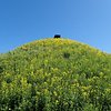 しょうこ