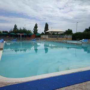 piscina molto ampia; comprende anche un altro lato coperto dalle palme.