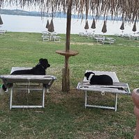 Passignano Dog Beach