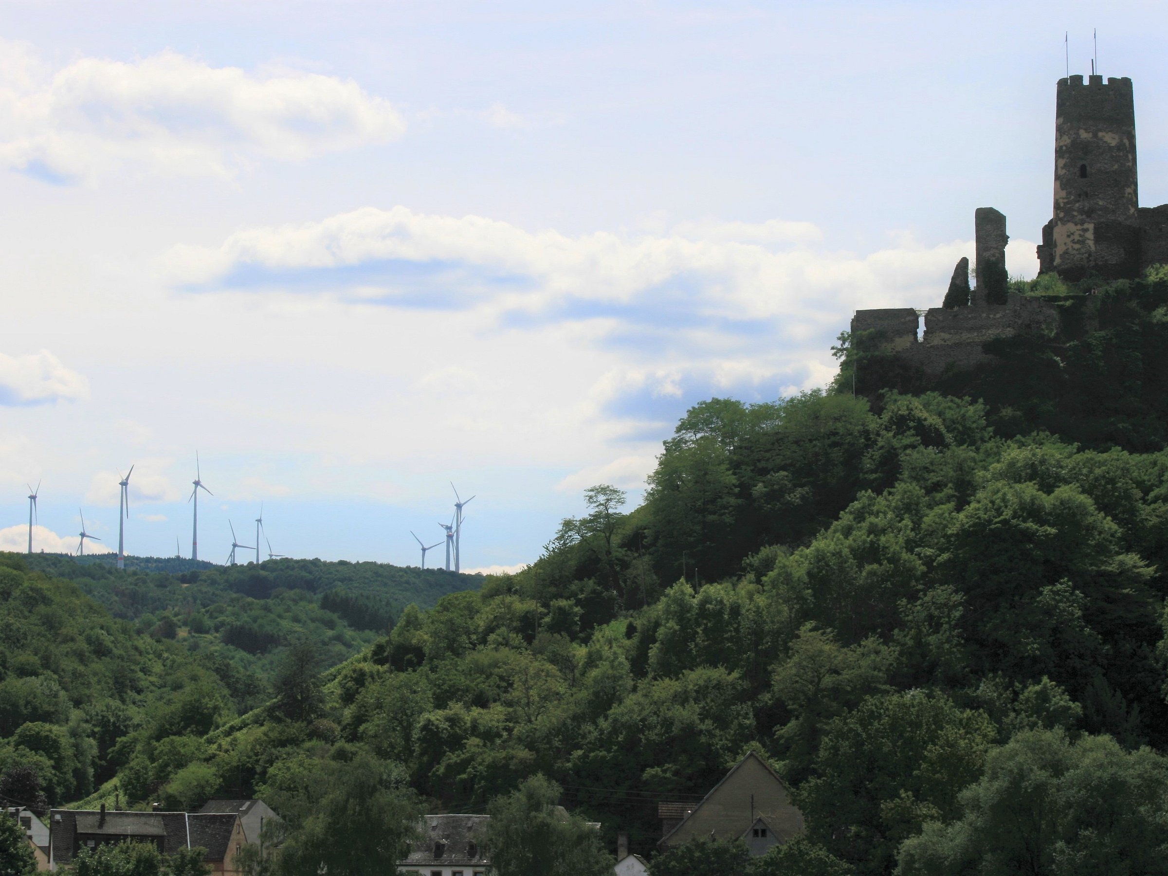 rhine river tours bingen am rhein