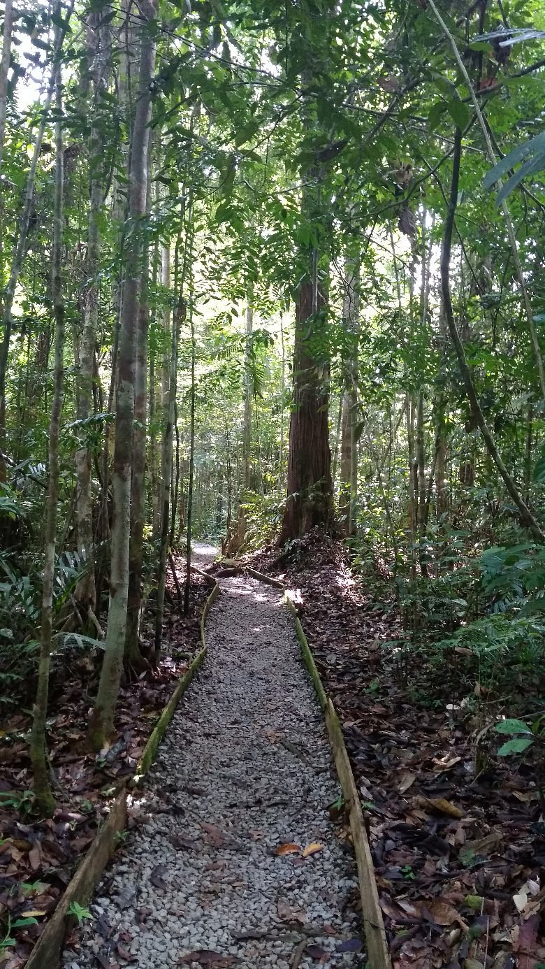 Matang National Park