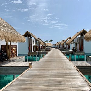 travel deals maldives