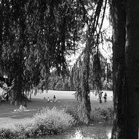Giardini