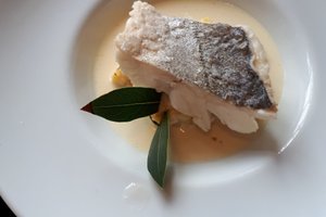 Cibo