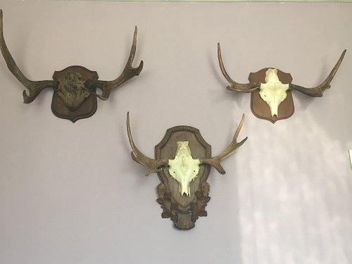 gmc safari accessories