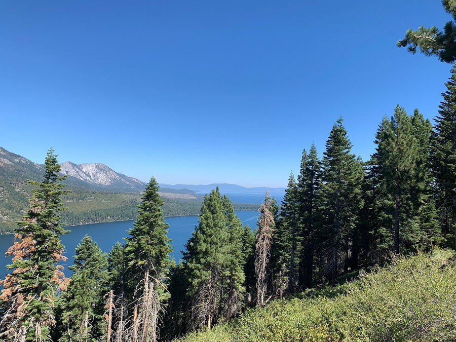 Fallen Leaf Relief Campground Reviews South Lake Tahoe Ca Tripadvisor