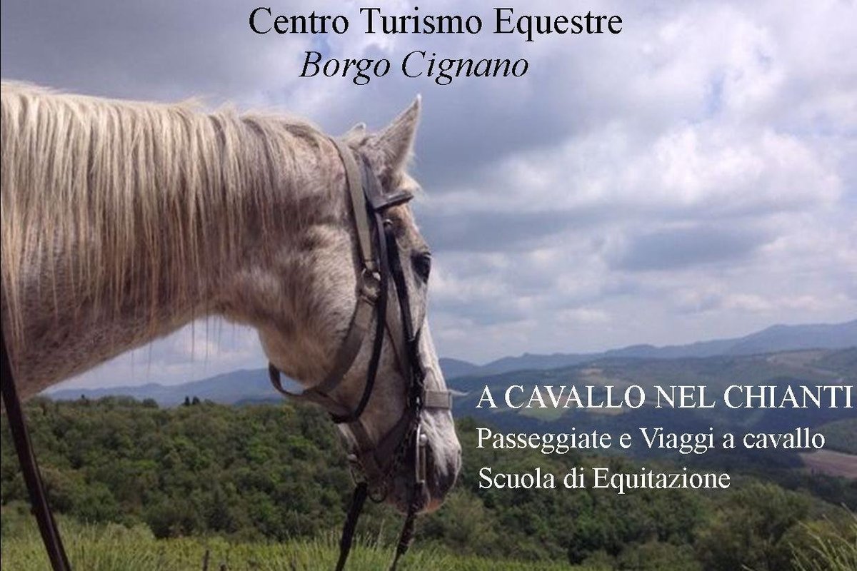 Centro Turismo Equestre Borgo Cignano - All You Need to Know BEFORE You ...