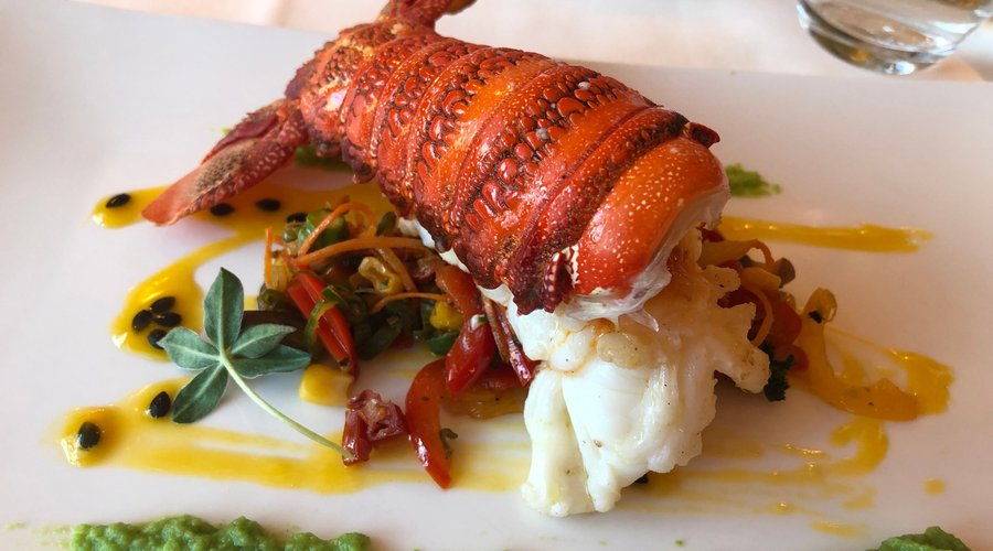 Lobster zur Vorspeise