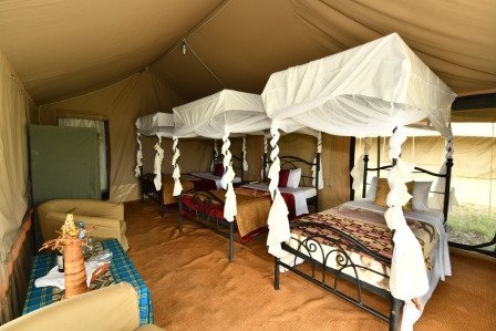 Wilderness Usawa Serengeti, the first luxury mobile camp in Tanzania