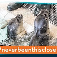 The Sealcentre is open for visitors every day from 10am to 5pm.