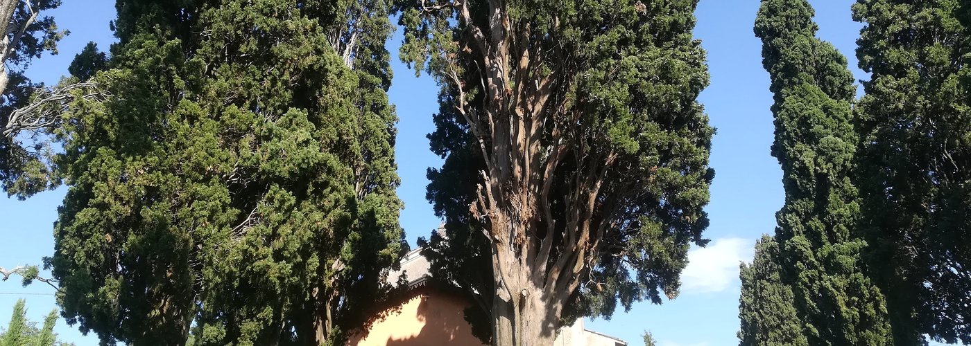 CHIESETTA DI SANT'ANNA - VICINANZE RISTORANTE AL CAMPAGNOLO