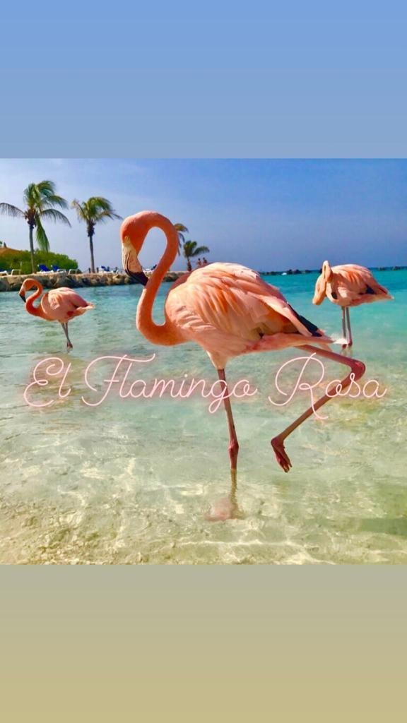 EL FLAMINGO ROSA - Prices & Lodging Reviews (Iglesias, Italy)