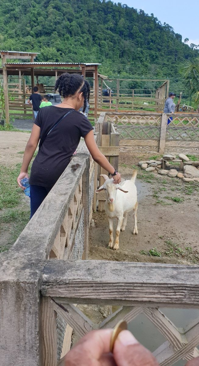 Safari Eco Park (Chaguaramas) - All You Need to Know BEFORE You Go