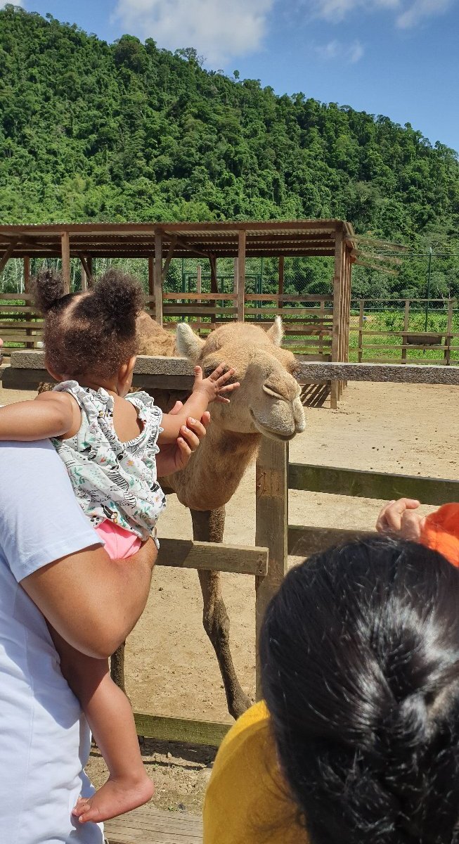 SAFARI ECO PARK (Chaguaramas): All You Need to Know