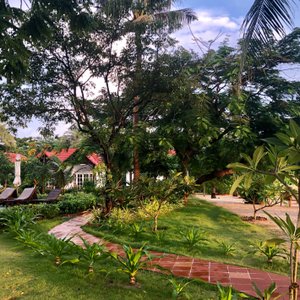 View to Pool