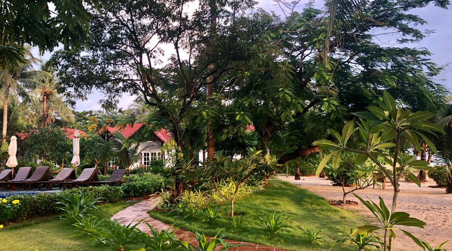 View to Pool