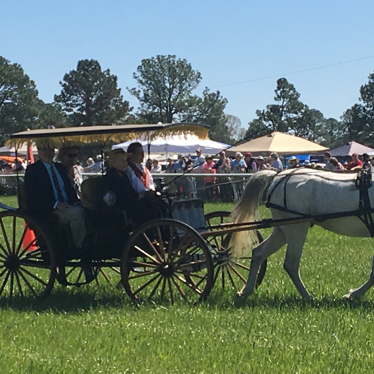 Aiken Spring Steeplechase 2025 Winny Kariotta